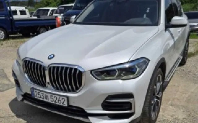 수원중형차 X5 (G05) xDrive 30d xLine 매물 사진 9 - 2022/10 116,104km